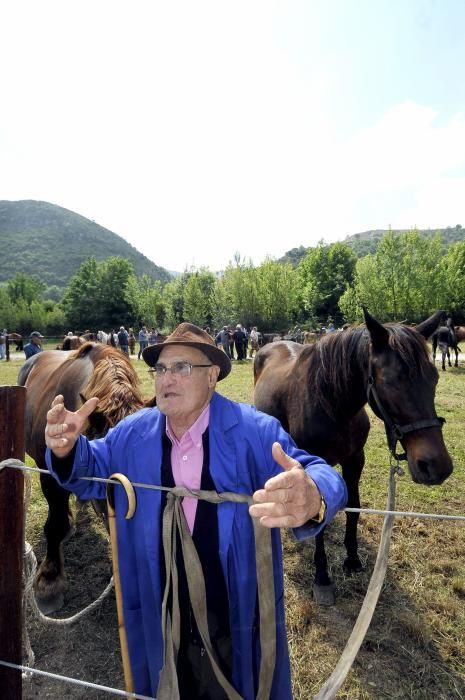 Feria de La Ascensión en Olloniego