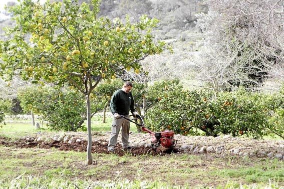 Auf dem historischen Landgut werden Menschen mit Behinderung darin ausgebildet, wie man ökologisches Gemüse anbaut, Pflanzen aus Samen zieht und Obstbäume pflegt.