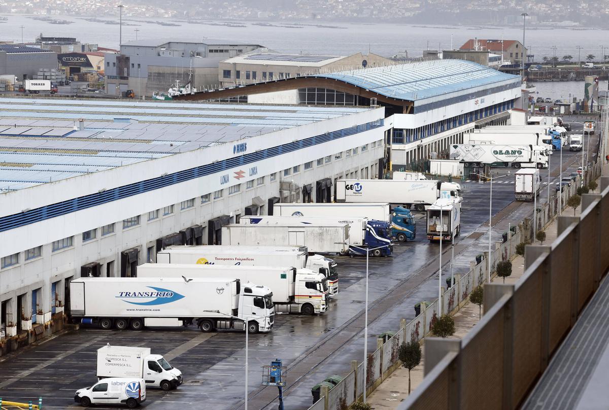 Camiones de transporte de pescado congelado aparcados en la lonja de Vigo.