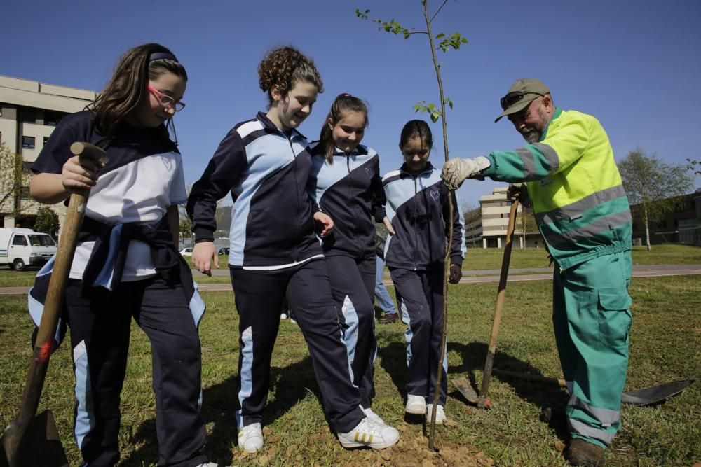 Celebración del "Día del árbol" en Oviedo