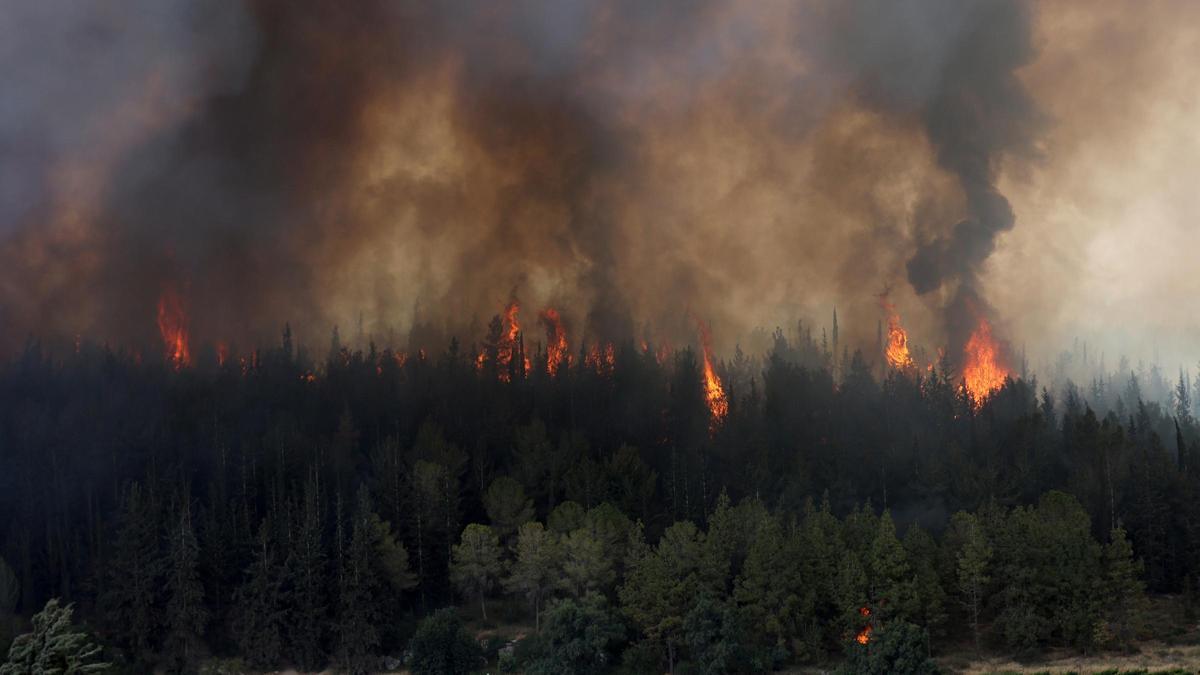 Imagen de archivo de los incendios forestales en Israel.