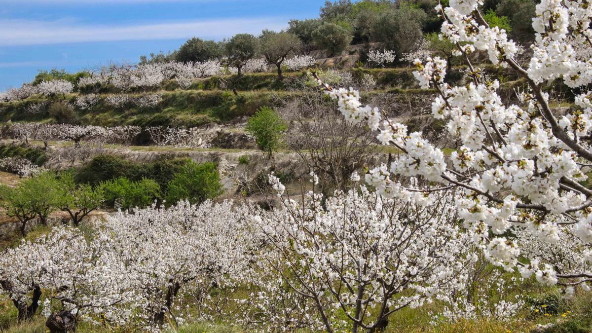 Vall de Gallinera