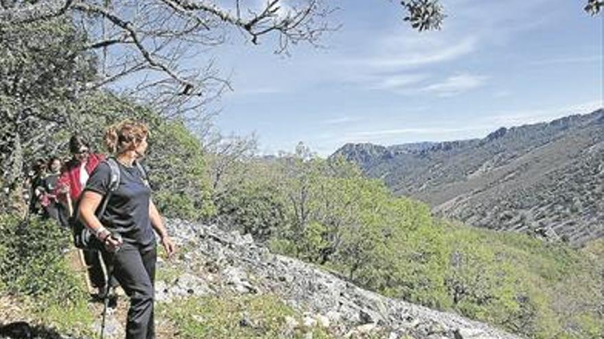 Un grupo de logrosanos prevé realizar mañana la Ruta de Alfonso Onceno