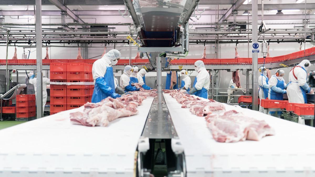 Un matadero porcino de Aragón, el segundo mayor productor y exportador del sector en España.