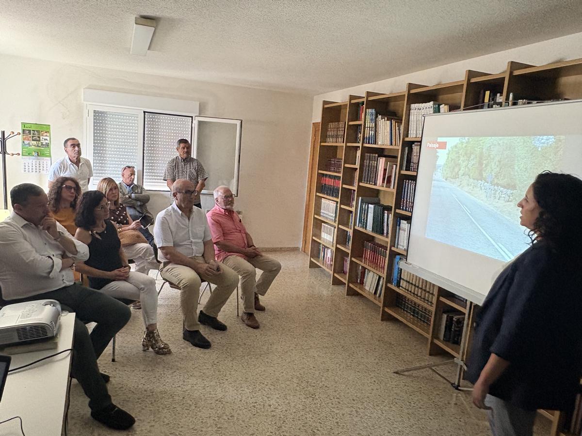 Presentación del proyecto
