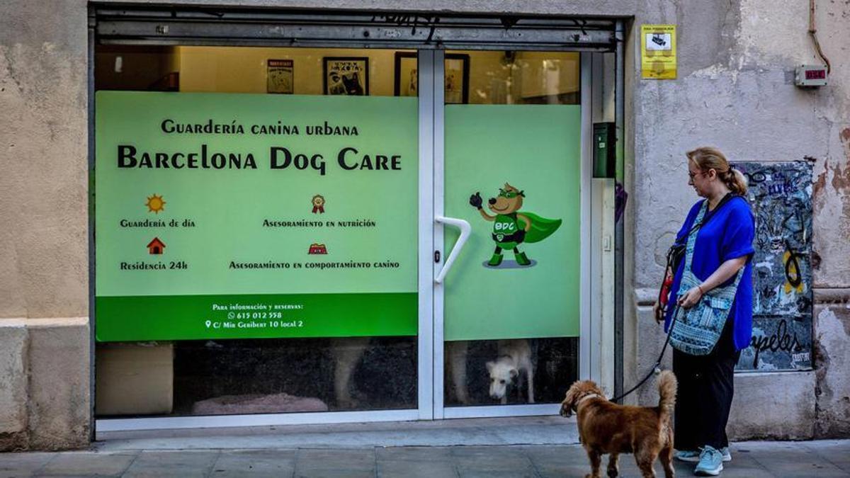 Una guardería canina en Barcelona.
