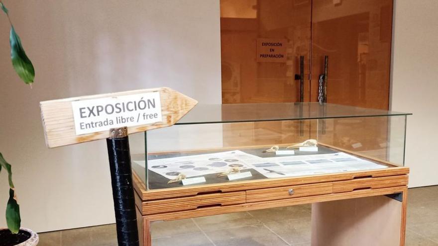 Oleiros abrirá un museo con piezas donadas en el castillo de Santa Cruz