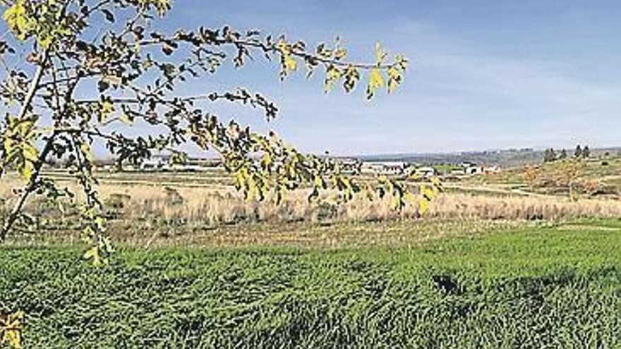 El parque rústico de Mejostilla, un gran descampado