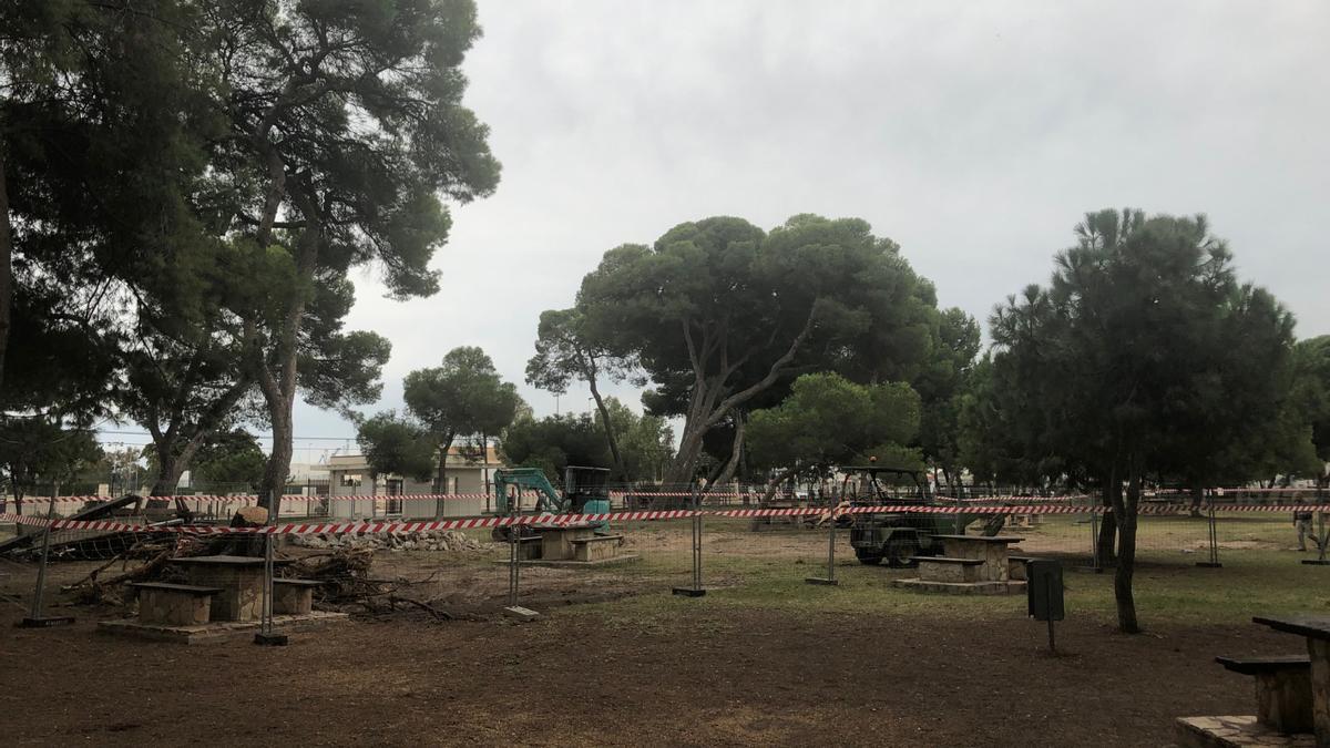 Obras actuales en el Pinar.