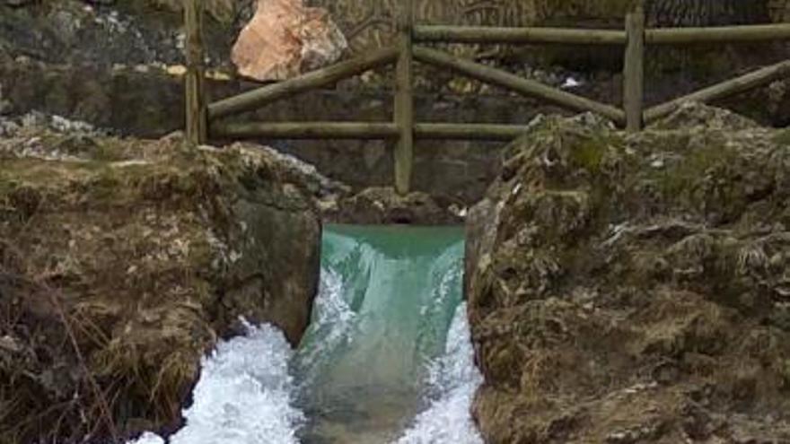 Brota el agua en el nacimiento del Segura