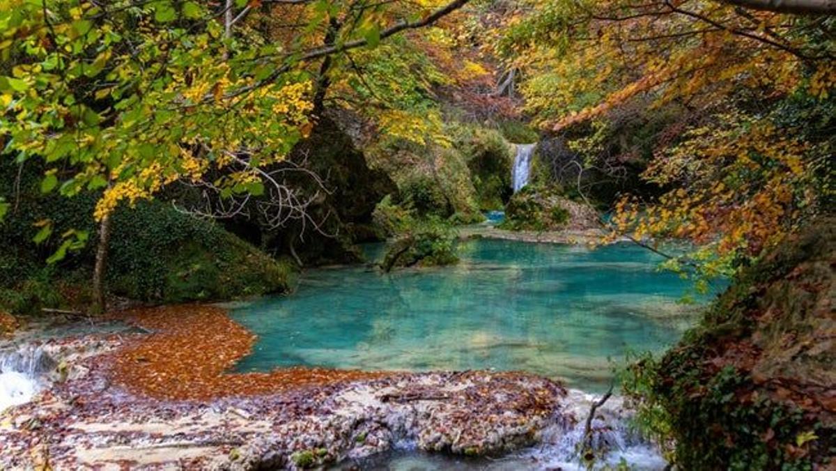 Si vives en Pamplona, puedes escaparte a la Selva de Irati