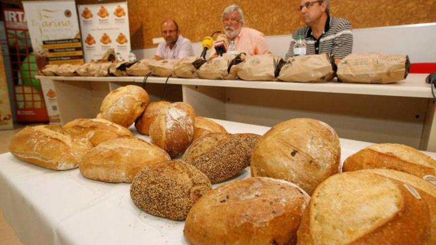 És farina de Girona espera produir el doble de blat