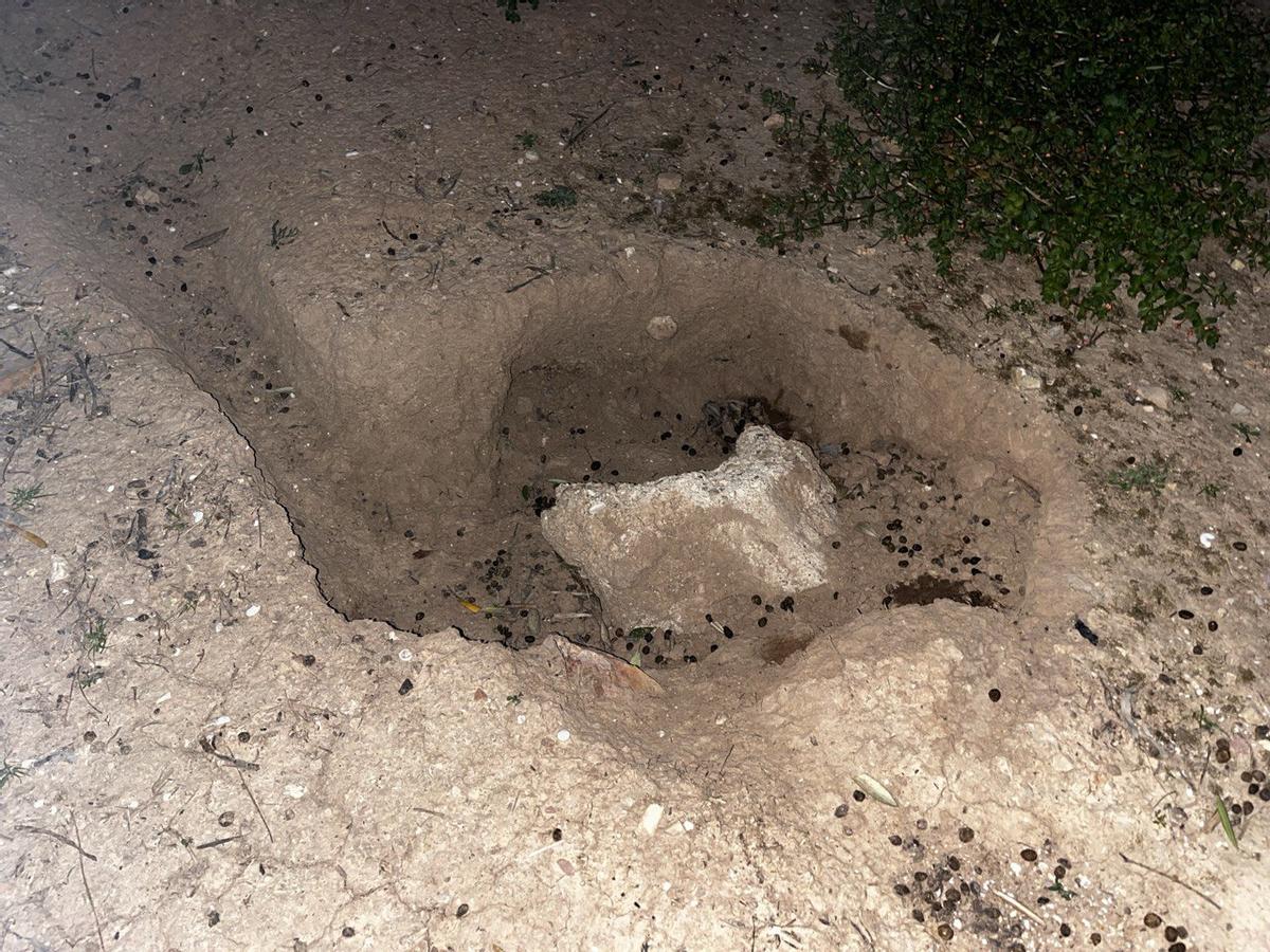 La glorieta está llena de excrementos y tierra excavada por los conejos.