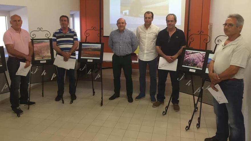 El concurso de la floración en Cieza ya tiene ganadores