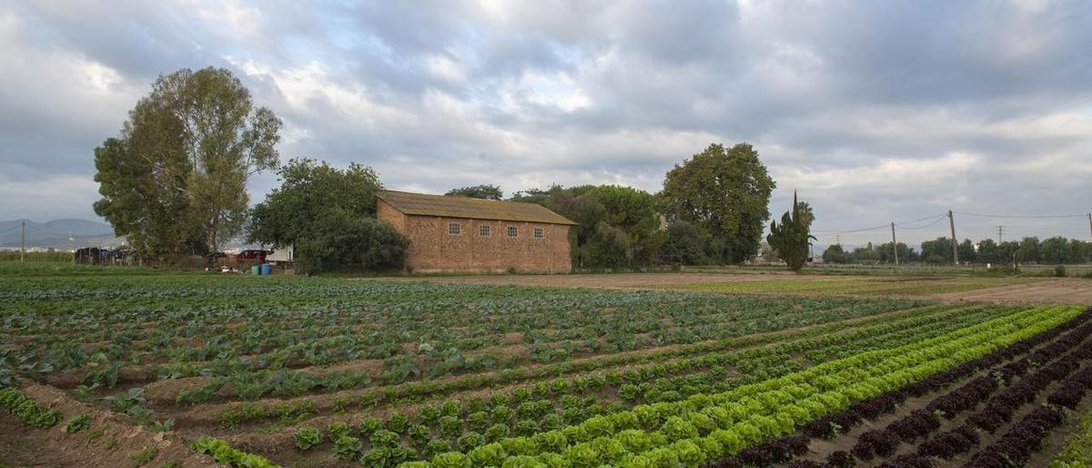 Una casa en un terreno rústico.