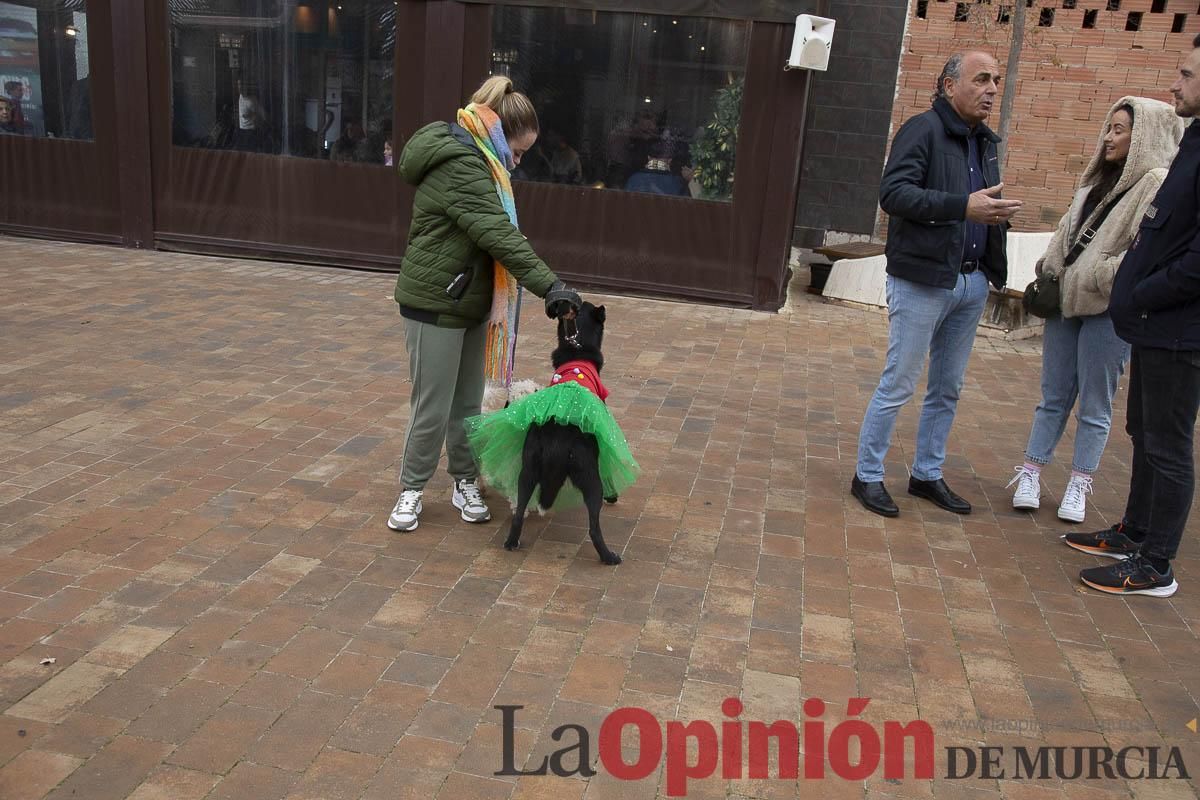 San Silvestre en Bullas