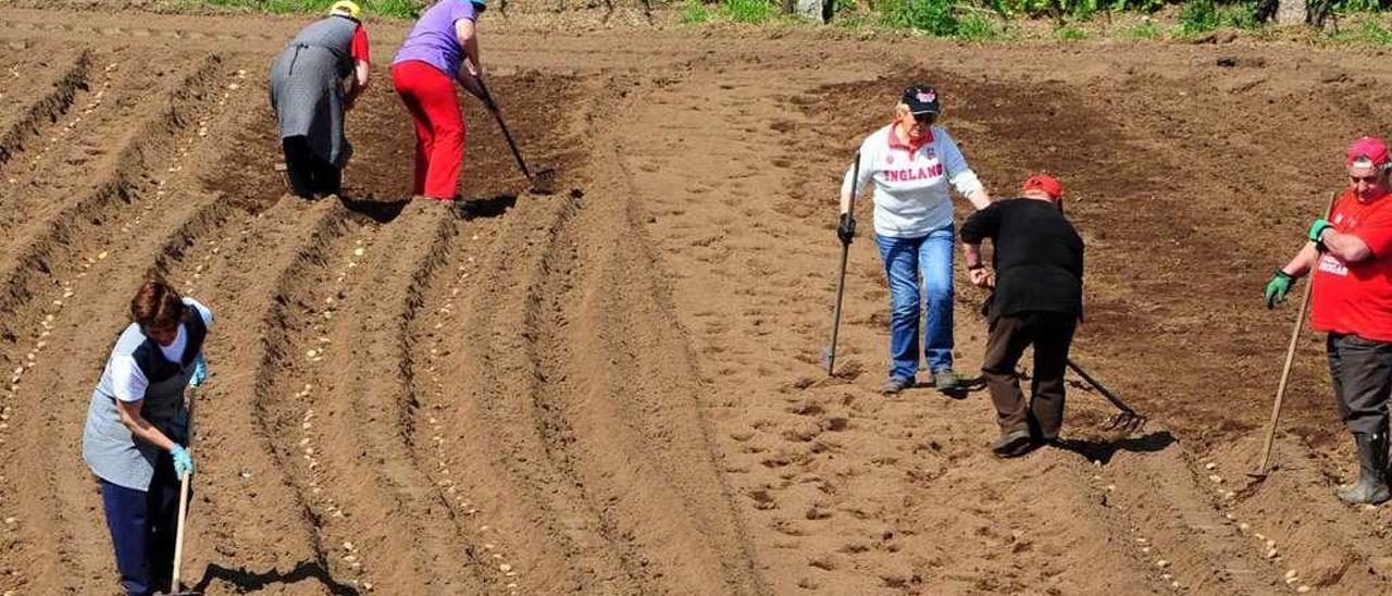 Trabajadoras del campo en la localidad de Meis. // Iñaki Abella