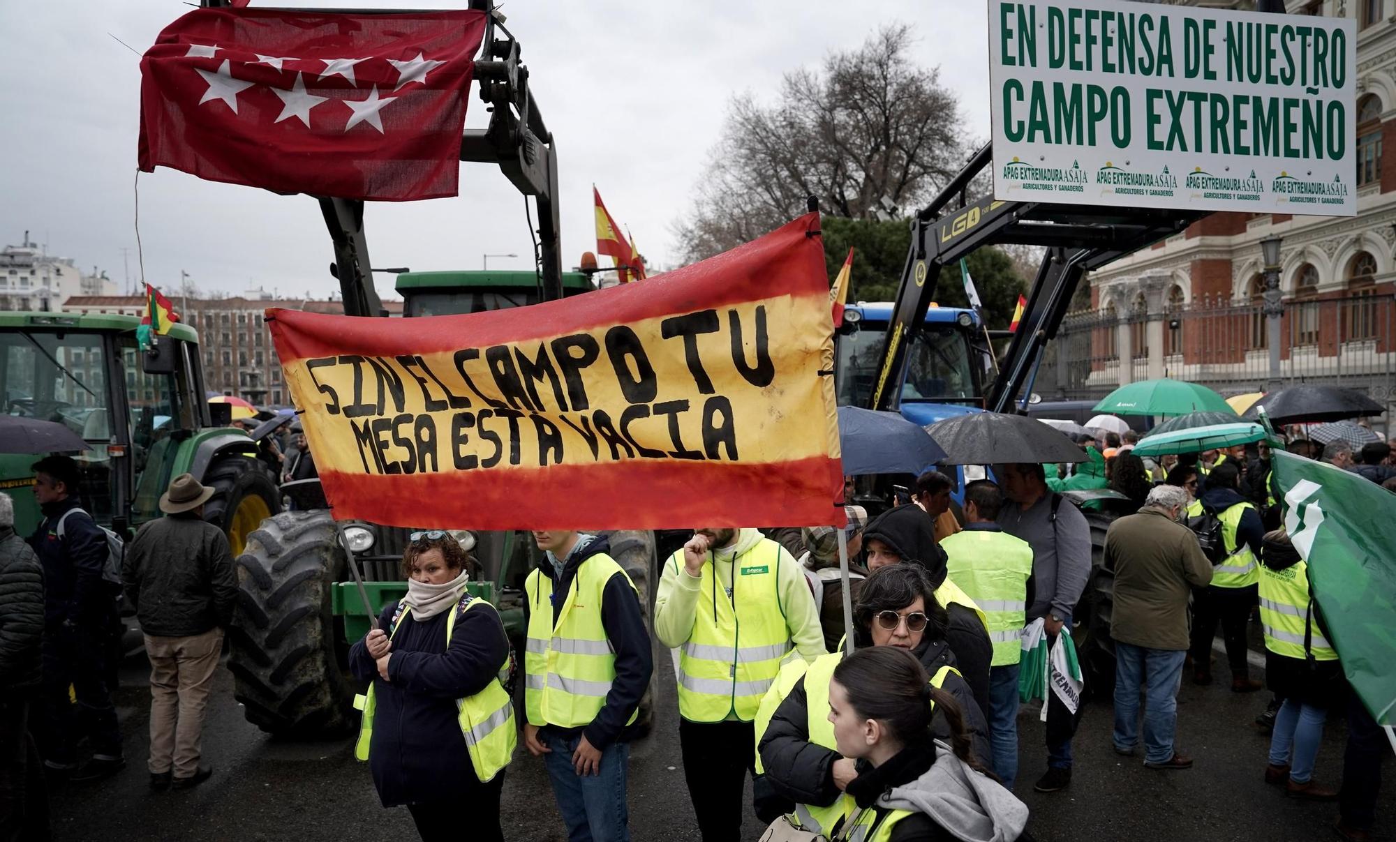 Agricultores protestan frente a la sede del Ministerio, en imágenes