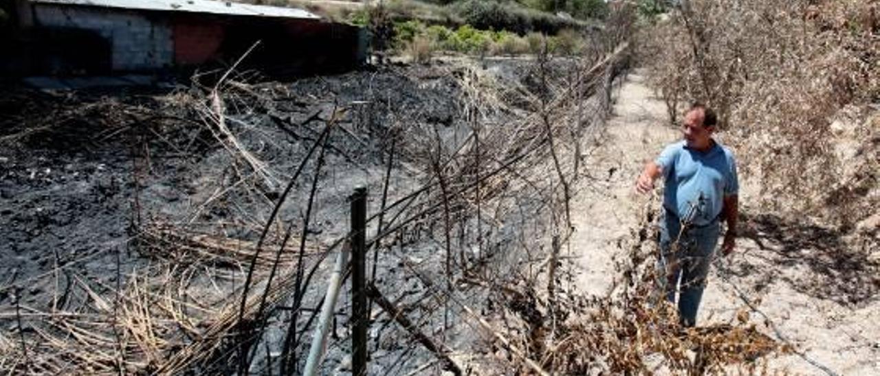 SOS vecinal a la CHJ para limpiar de cañas los barrancos