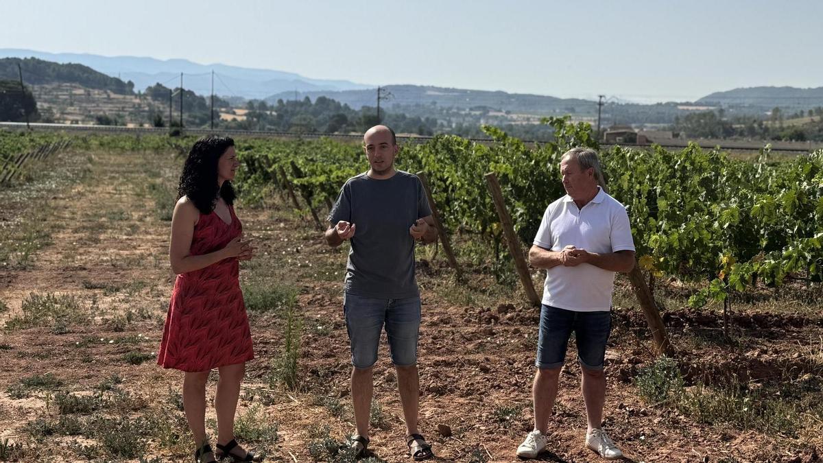 Pol Huguet, Marta Viladés i Josep Maria Claret, a les vinyes de la Torre Lluvià