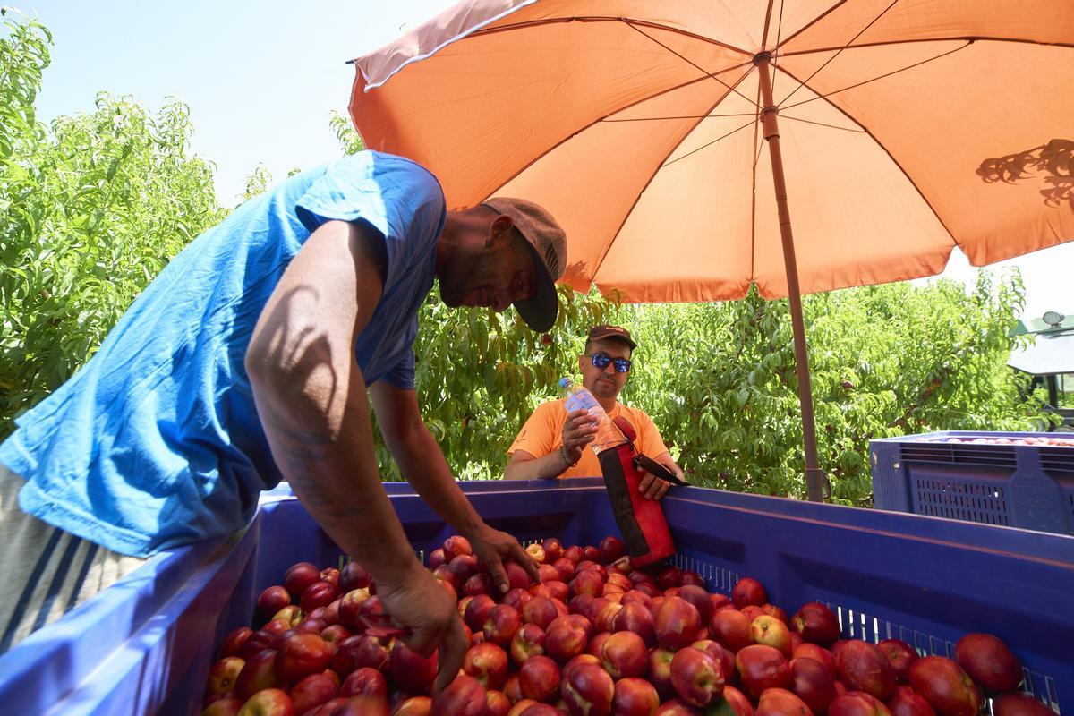 Treballar a ple sol causa un terç de les morts per càncer de pell no melanoma