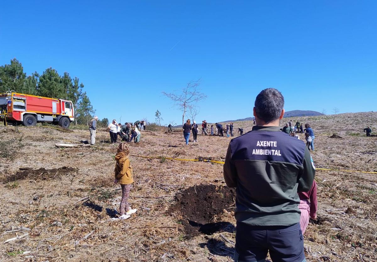 Sobre estas liñas, plantación de frondosas nos montes de Toutón. Á dereita, o alumnado prepárase para a súa avetura na natureza.   | // D.P.