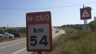 Un sistema de inteligencia artifical alerta de la presencia de animales en las carreteras para evitar accidentes