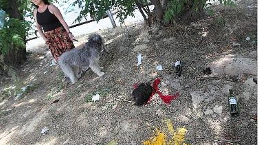 Una vecina y su perro, junto a los restos del ritual.