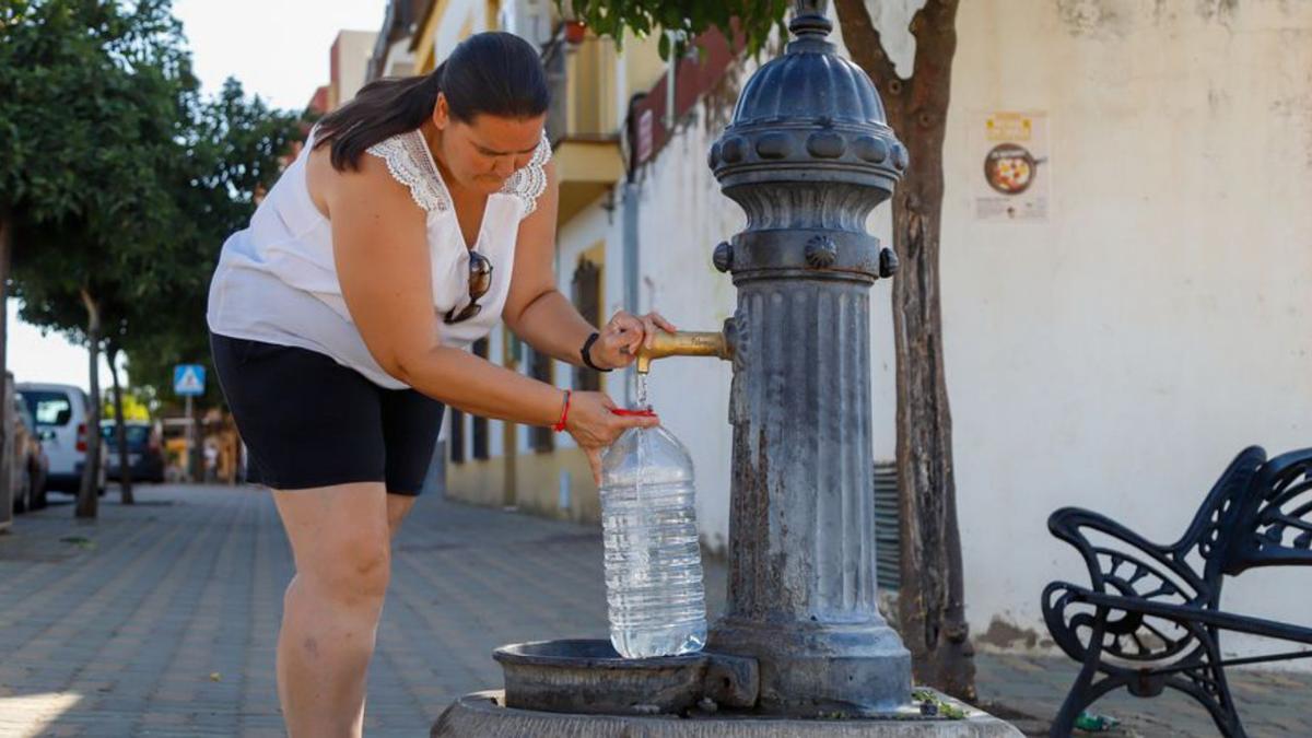 Una vecina de Alcolea coge agua de una fuente pública para su familia. | MANUEL MURILLO