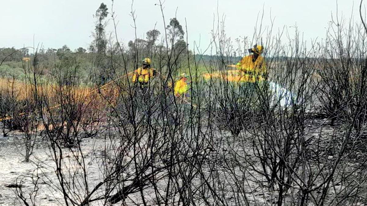 Bomberos del Infoca sobre el terreno.