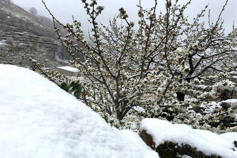 Nevada de primavera en Extremadura