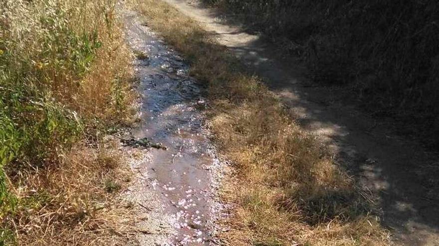 Reguero de agua que brota del depósito municipal.