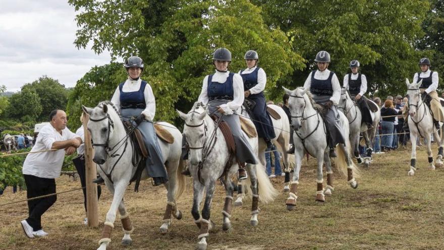 Los caballos no faltan a su cita en Tui