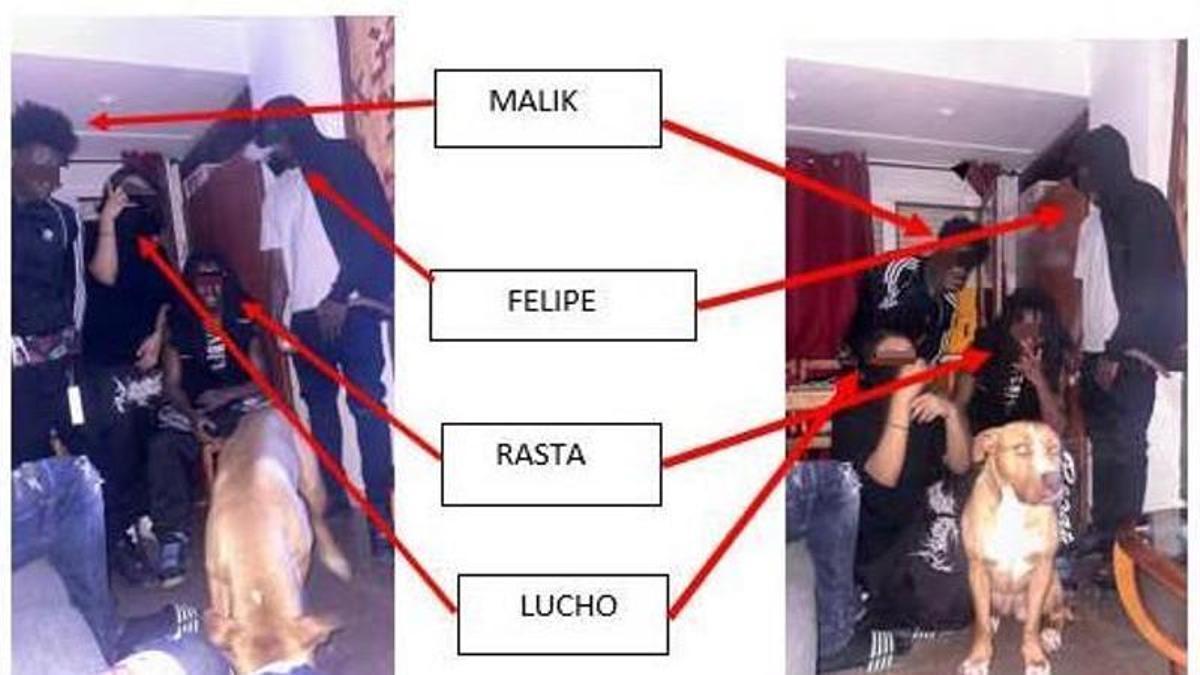 Imagen de los cuatro jóvenes vinculados a los Blue Demons a quienes ha detenido la Policía por una presunta violación en manada.