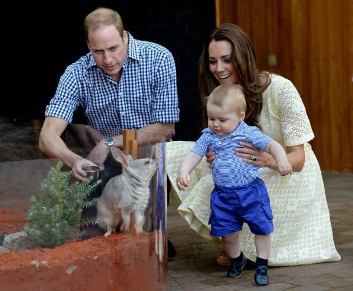 El príncipe George saluda a un conejito con conjunto azul