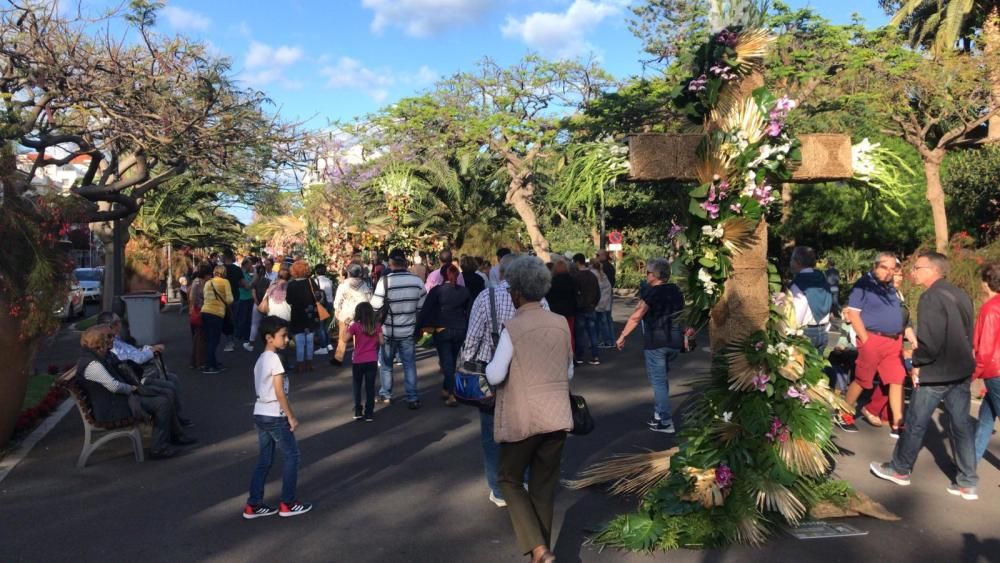 Concurso de Cruces de Flores Naturales