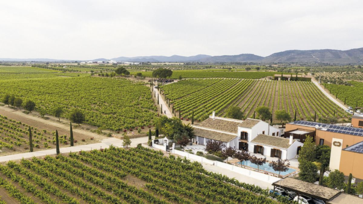 El buen hacer de Chozas Carrascal le ha llevado a conseguir la certificación de tres DO diferentes.