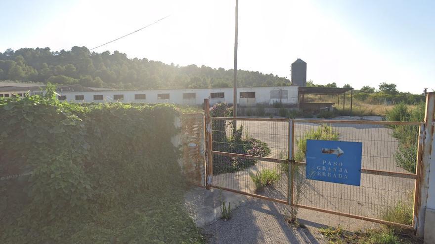 Condenan a la Generalitat a pagar 440.000 € por una falsa alerta sanitaria que cerró una granja en Chella