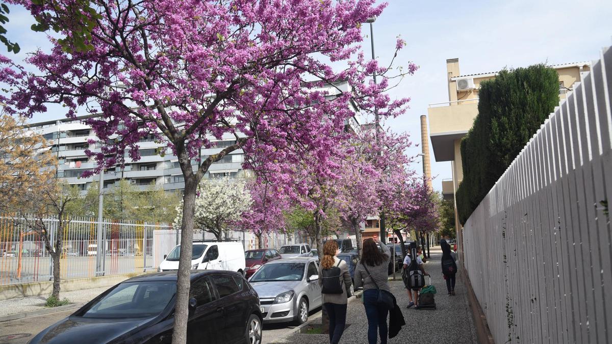 La mascarilla ha evitado el aumento de alergias durante el covid.