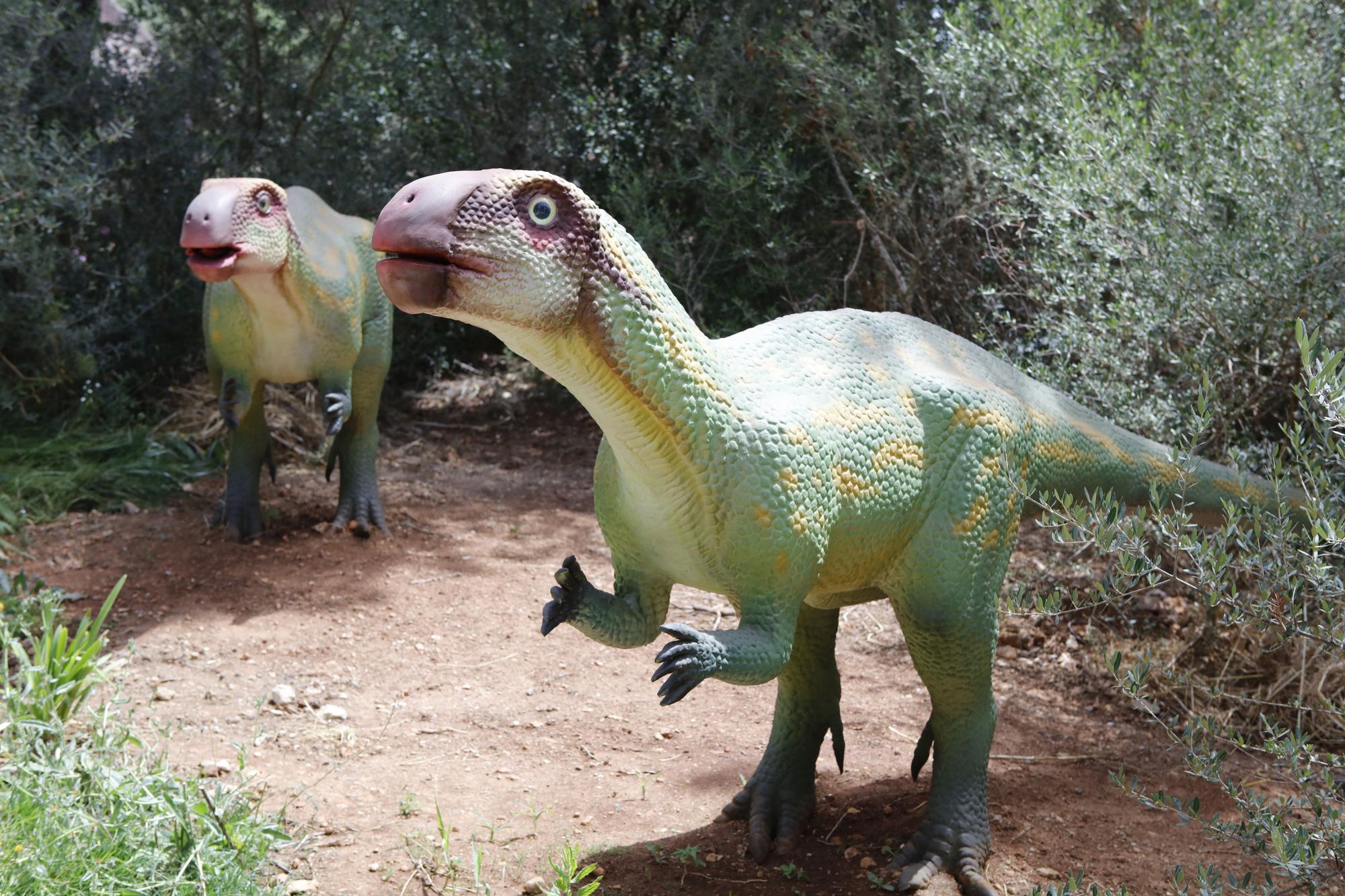 Besuch im neuen Dino-Park auf Mallorca