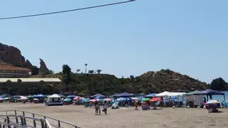 Águilas se prepara para su noche más veraniega