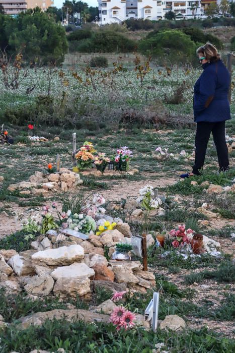 Junto al parque de Lo Albentosa de Torrevieja se extienden fosas y lápidas en una práctica no regulada