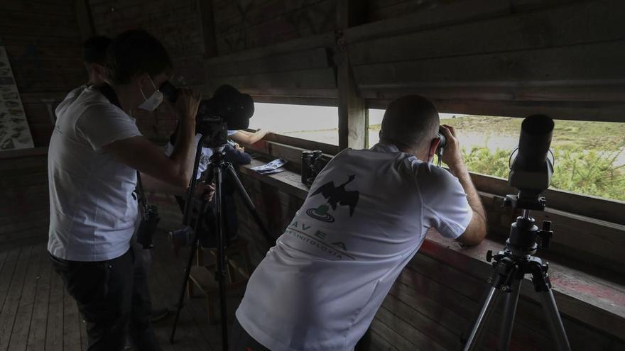 La VIII edición de los Premios Alfredo Noval galardona al ornitólogo Xuan Fernández García y a la revista Naturalia Cantabricae