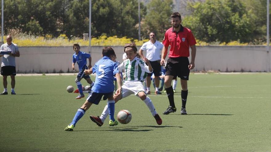 El Córdoba benjamín luchará por el cetro andaluz