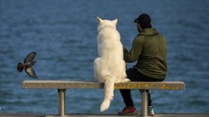 Un hombre con su perro, en un banco playero de Barcelona, el 26 de abril.