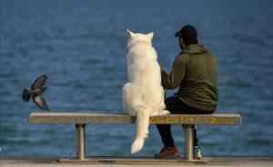 Un hombre con su perro, en un banco playero de Barcelona, el 26 de abril.