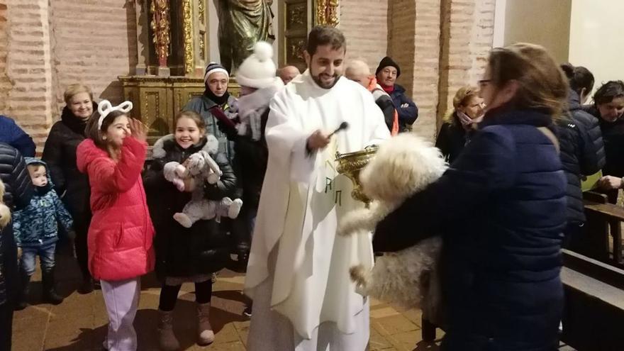 El párroco bendice a los animales que asistieron a la misa en Santa María de Arbas. | M. J. C.