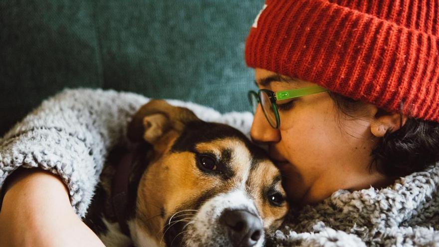Síntomas de que un perro se va a morir: señales de alarma y cómo actuar para evitar sufrimiento