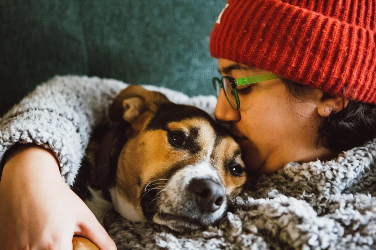 ¿Cómo saber si a tu perro le queda poco de vida?