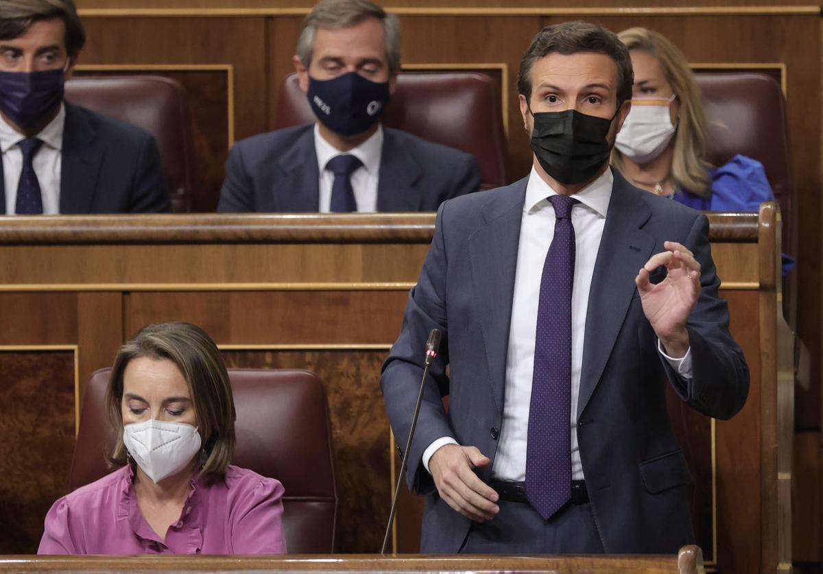 Pablo Casado, en el Congreso de los Diputados.